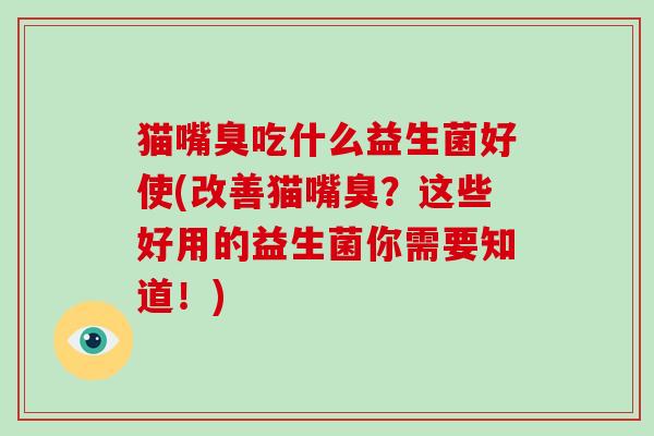 猫嘴臭吃什么益生菌好使(改善猫嘴臭？这些好用的益生菌你需要知道！)