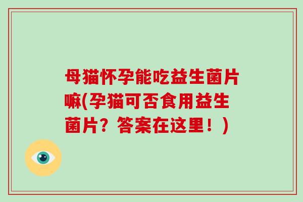 母猫怀孕能吃益生菌片嘛(孕猫可否食用益生菌片？答案在这里！)