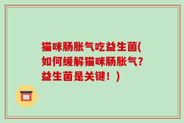 猫咪肠胀气吃益生菌(如何缓解猫咪肠胀气？益生菌是关键！)