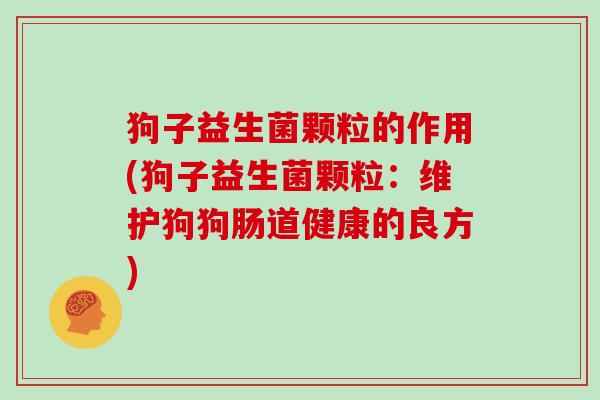 狗子益生菌颗粒的作用(狗子益生菌颗粒:维护狗狗肠道健康的良方) 狗子益生菌颗粒的作用(狗子益生菌颗粒:维护狗狗肠道健康的良方)