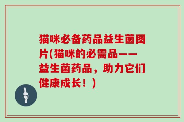 猫咪必备药品益生菌图片(猫咪的必需品——益生菌药品，助力它们健康成长！)