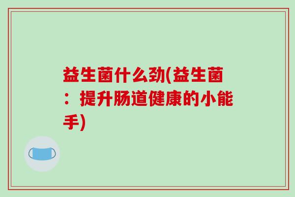 益生菌什么劲(益生菌：提升肠道健康的小能手)