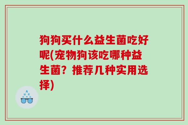 狗狗买什么益生菌吃好呢(宠物狗该吃哪种益生菌？推荐几种实用选择)
