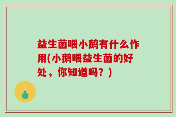 益生菌喂小鹅有什么作用(小鹅喂益生菌的好处，你知道吗？)