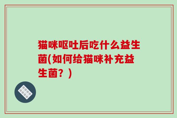 猫咪后吃什么益生菌(如何给猫咪补充益生菌？)