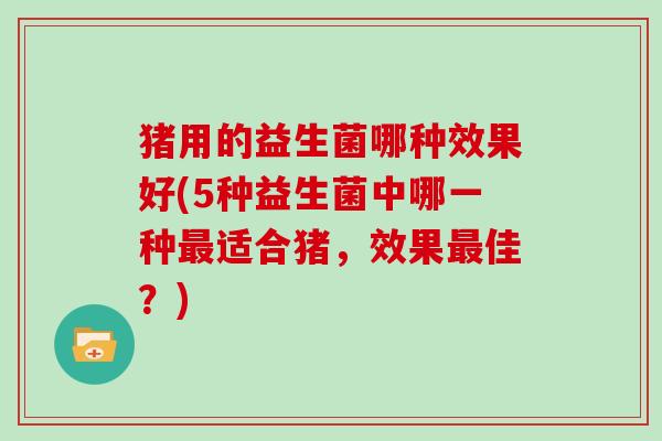 猪用的益生菌哪种效果好(5种益生菌中哪一种最适合猪，效果最佳？)