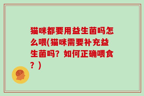 猫咪都要用益生菌吗怎么喂(猫咪需要补充益生菌吗？如何正确喂食？)