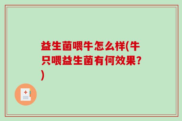 益生菌喂牛怎么样(牛只喂益生菌有何效果？)