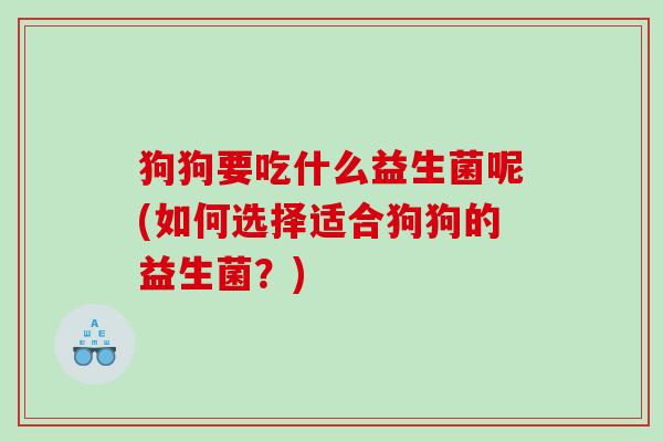 狗狗要吃什么益生菌呢(如何选择适合狗狗的益生菌？)