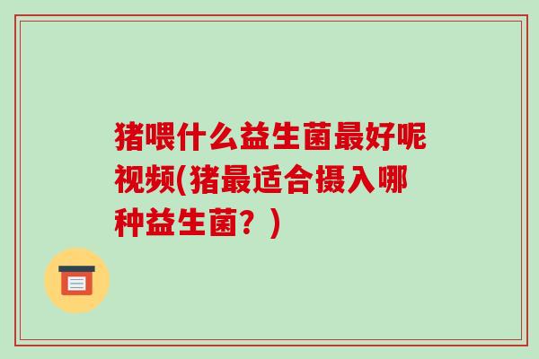 猪喂什么益生菌最好呢视频(猪最适合摄入哪种益生菌？)