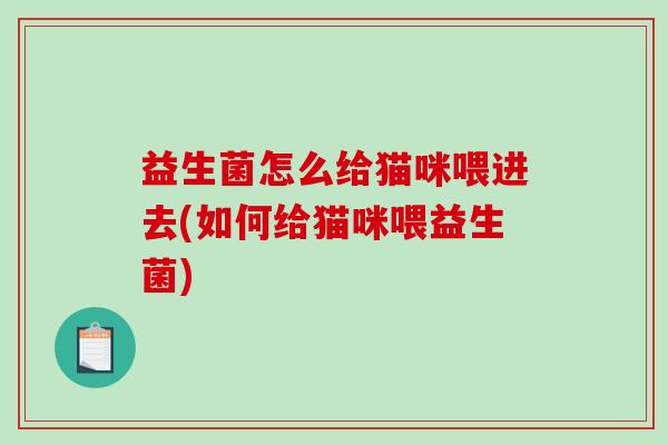 益生菌怎么给猫咪喂进去(如何给猫咪喂益生菌)