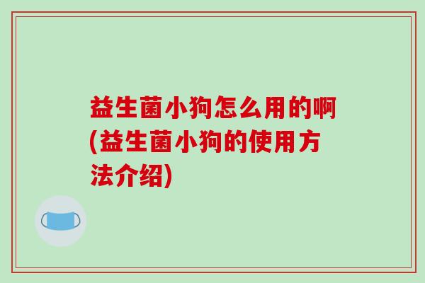益生菌小狗怎么用的啊(益生菌小狗的使用方法介绍)