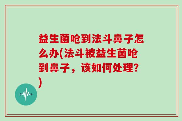 益生菌呛到法斗鼻子怎么办(法斗被益生菌呛到鼻子，该如何处理？)