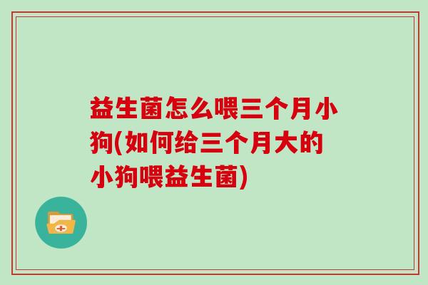 益生菌怎么喂三个月小狗(如何给三个月大的小狗喂益生菌) 益生菌怎么喂三个月小狗(如何给三个月大的小狗喂益生菌)
