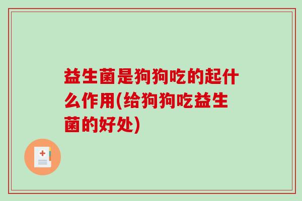 益生菌是狗狗吃的起什么作用(给狗狗吃益生菌的好处)