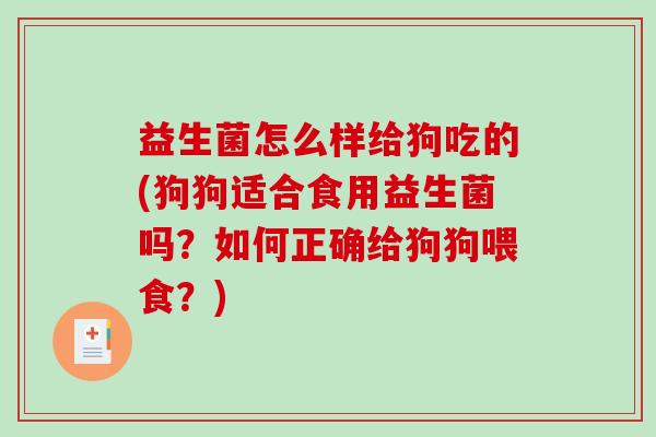 益生菌怎么样给狗吃的(狗狗适合食用益生菌吗？如何正确给狗狗喂食？)