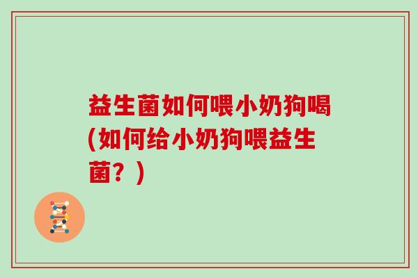 益生菌如何喂小奶狗喝(如何给小奶狗喂益生菌？)