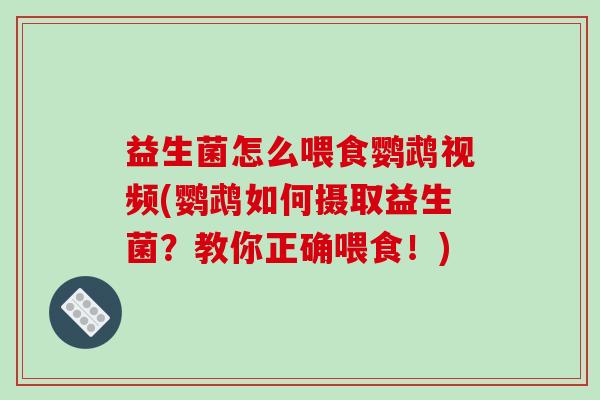 益生菌怎么喂食鹦鹉视频(鹦鹉如何摄取益生菌？教你正确喂食！)