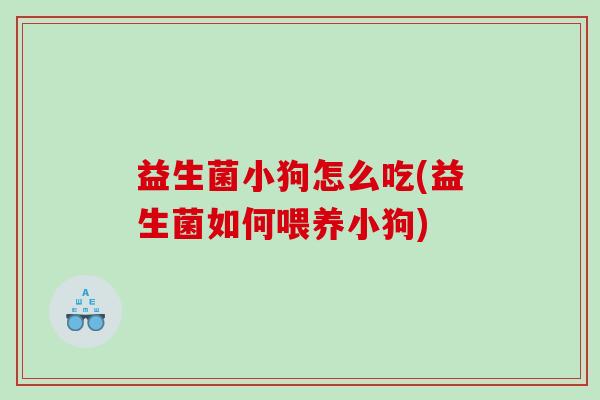 益生菌小狗怎么吃(益生菌如何喂养小狗)