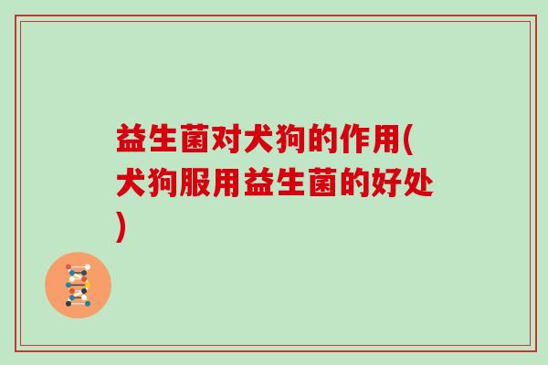 益生菌对犬狗的作用(犬狗服用益生菌的好处)