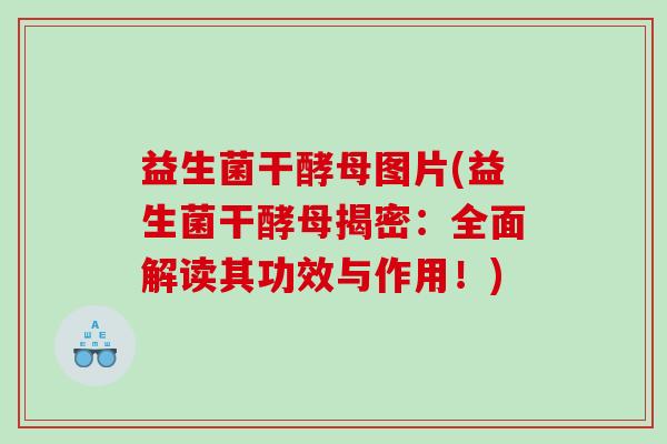 益生菌干酵母图片(益生菌干酵母揭密：全面解读其功效与作用！)