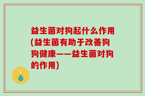 益生菌对狗起什么作用(益生菌有助于改善狗狗健康——益生菌对狗的作用)