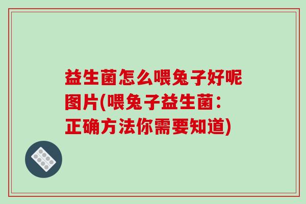 益生菌怎么喂兔子好呢图片(喂兔子益生菌：正确方法你需要知道)