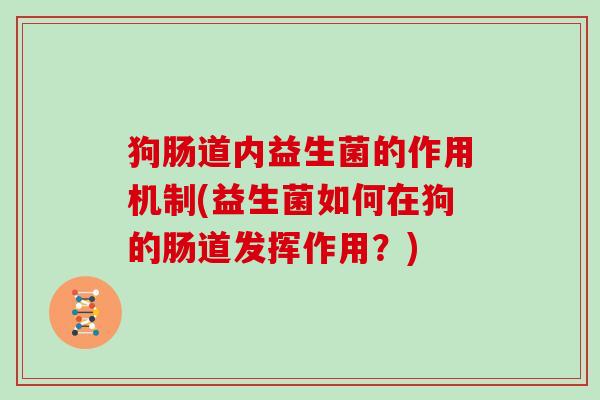 狗肠道内益生菌的作用机制(益生菌如何在狗的肠道发挥作用？)