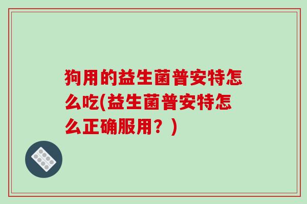 狗用的益生菌普安特怎么吃(益生菌普安特怎么正确服用？)