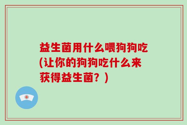 益生菌用什么喂狗狗吃(让你的狗狗吃什么来获得益生菌？)