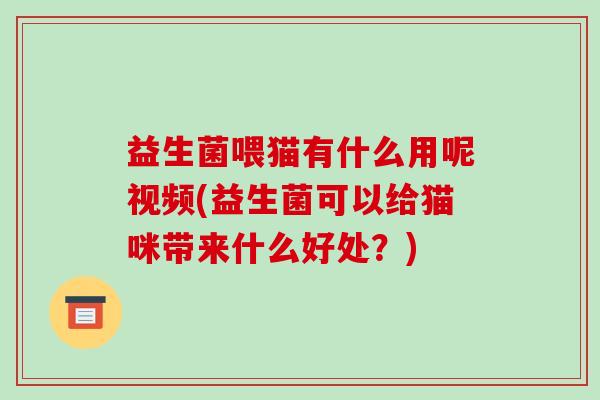 益生菌喂猫有什么用呢视频(益生菌可以给猫咪带来什么好处？)