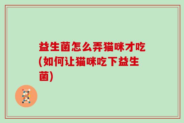 益生菌怎么弄猫咪才吃(如何让猫咪吃下益生菌)