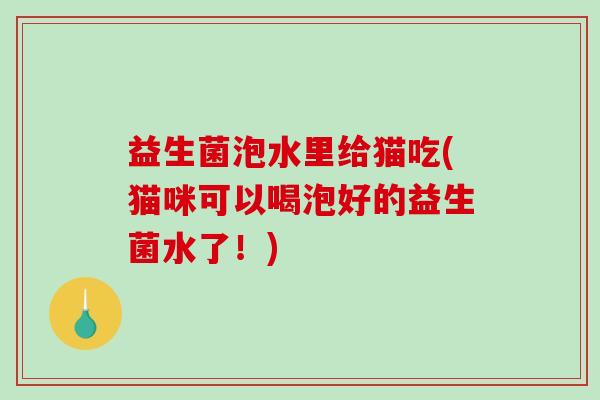 益生菌泡水里给猫吃(猫咪可以喝泡好的益生菌水了！)