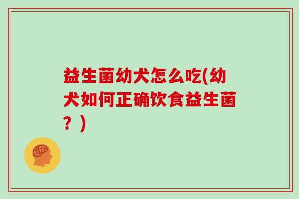 益生菌幼犬怎么吃(幼犬如何正确饮食益生菌？)