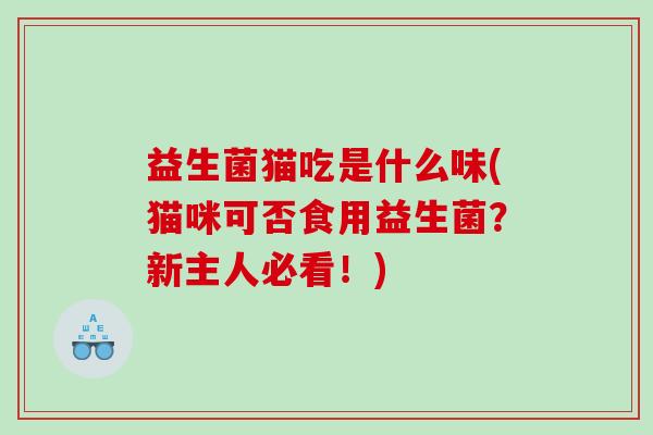 益生菌猫吃是什么味(猫咪可否食用益生菌？新主人必看！)