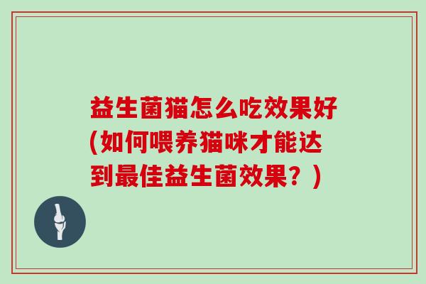 益生菌猫怎么吃效果好(如何喂养猫咪才能达到最佳益生菌效果？)