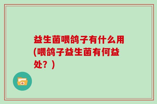 益生菌喂鸽子有什么用(喂鸽子益生菌有何益处？)