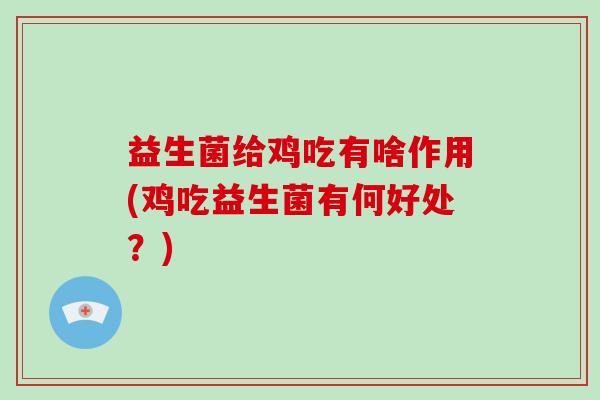 益生菌给鸡吃有啥作用(鸡吃益生菌有何好处？)