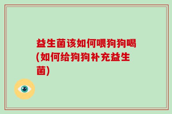 益生菌该如何喂狗狗喝(如何给狗狗补充益生菌) 益生菌该如何喂狗狗喝(如何给狗狗补充益生菌)
