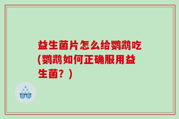 益生菌片怎么给鹦鹉吃(鹦鹉如何正确服用益生菌?) 益生菌片怎么给鹦鹉吃(鹦鹉如何正确服用益生菌?)