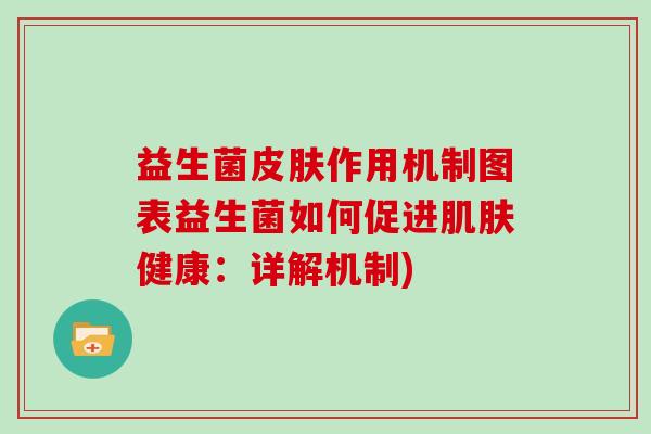 益生菌皮肤作用机制图表益生菌如何促进肌肤健康：详解机制)