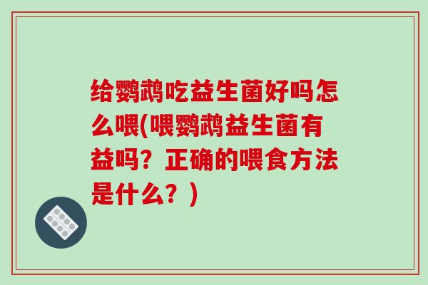 给鹦鹉吃益生菌好吗怎么喂(喂鹦鹉益生菌有益吗？正确的喂食方法是什么？)