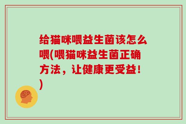 给猫咪喂益生菌该怎么喂(喂猫咪益生菌正确方法，让健康更受益！)