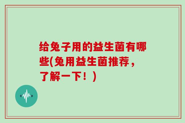 给兔子用的益生菌有哪些(兔用益生菌推荐，了解一下！)