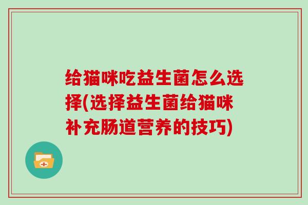 给猫咪吃益生菌怎么选择(选择益生菌给猫咪补充肠道营养的技巧)
