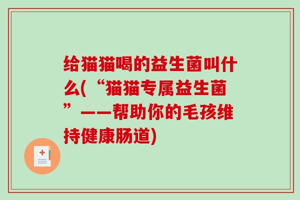 给猫猫喝的益生菌叫什么(“猫猫专属益生菌”——帮助你的毛孩维持健康肠道)