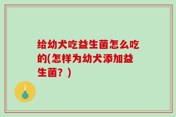 给幼犬吃益生菌怎么吃的(怎样为幼犬添加益生菌?) 给幼犬吃益生菌怎么吃的(怎样为幼犬添加益生菌?)