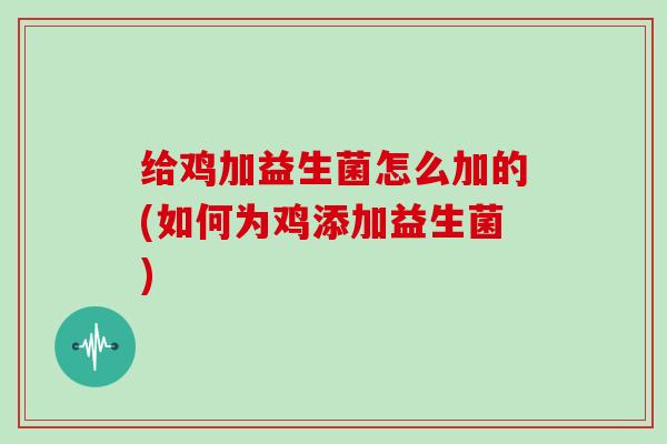 给鸡加益生菌怎么加的(如何为鸡添加益生菌)