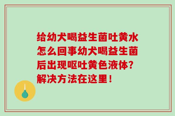 给幼犬喝益生菌吐黄水怎么回事幼犬喝益生菌后出现黄色液体？解决方法在这里！