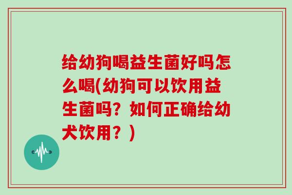 给幼狗喝益生菌好吗怎么喝(幼狗可以饮用益生菌吗？如何正确给幼犬饮用？)